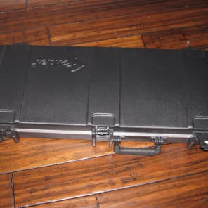 Fender skb case sales