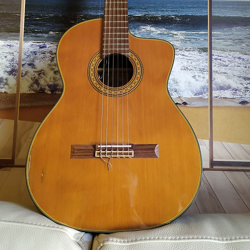 Takamine ec132sc hotsell
