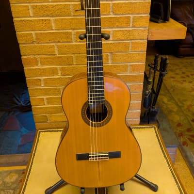 ARIA AG-80 concert classical guitar, cedar top, 1977, designed by Sakurai |  Reverb