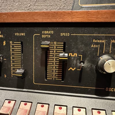 Farfisa Soundmaker 61-Key String Synthesizer 1979 - 1981 - Natural / Black, recently serviced, fully functional, U.S. 120V! image 8
