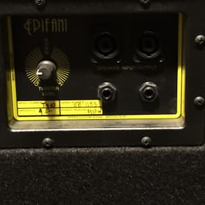 Epifani T410 bass cab. | Reverb