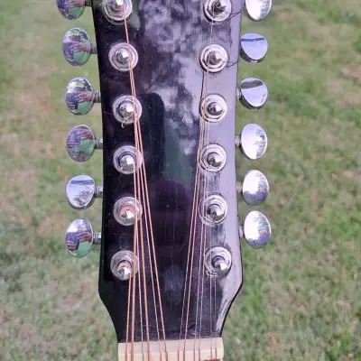 🎵🎸 Carlo Robelli 12 String Acoustic 2000s Black 🎸🎵 image 3