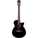 Ibanez AEG50NBKH Acoustic-Electric Nylon Guitar - Black