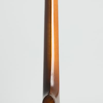 Vega  Tu-Ba-Phone Style M Tenor Banjo (1926), ser. #68666, original black hard shell case. image 9