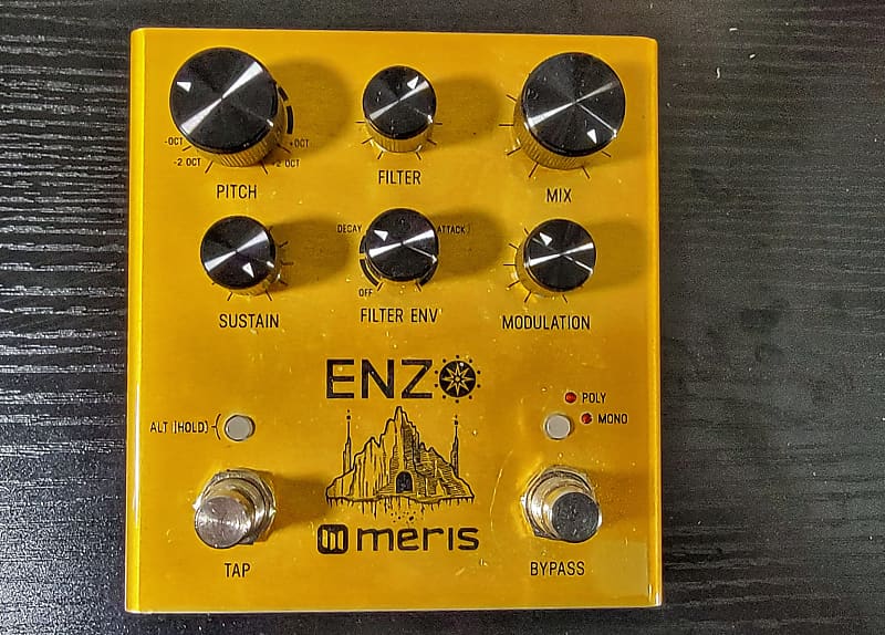 Meris Enzo 2021 bronze metallic Reverb