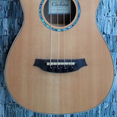 Cordoba Mini II Bass EB-E Spruce and Rosewood Electro-Acoustic Travel Bass Guitar for sale