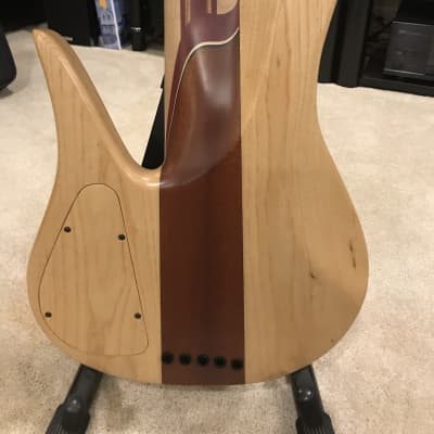 JCR Custom Fretless Tenor 5 String Bass image 18