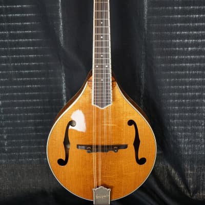 Brand New Bourgeois A Style Mandolin Model M5A Adi Top / Flamed Bosnian Maple ALL TORRIFIED image 1