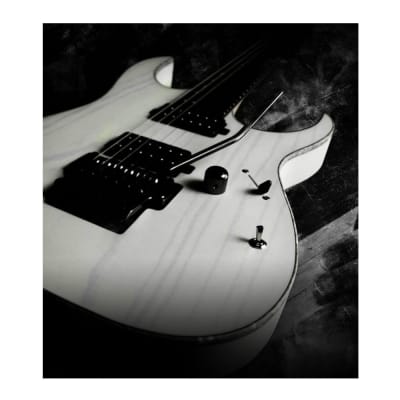 Ibanez Steve Vai Signature 6-String Electric Guitar with Monkey Grip, Jatoba Fretboard and Maple Neck (Left-Handed, White) image 6