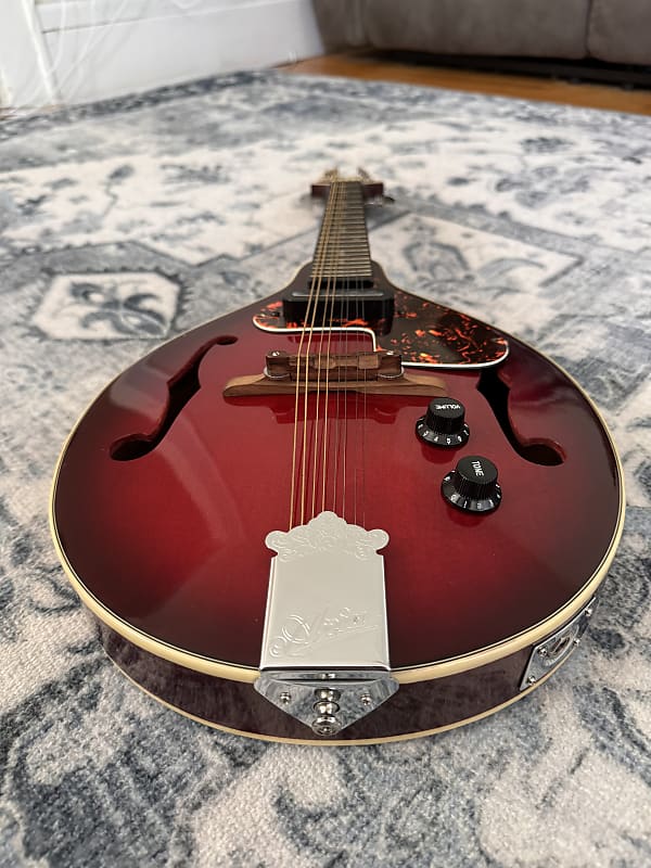 Aria/アリア FlatMandolin AM-200E BS フラットマンドリン/エレキマンドリン ギグケース付 同梱×/D4X(マンドリン)｜売買されたオークション情報、yahooの商品情報をアーカイブ公開  - オークファン ホビー、カルチャー