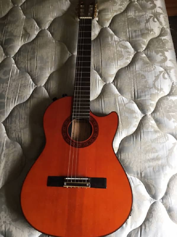 Hohner acoustic electric guitar Reverb