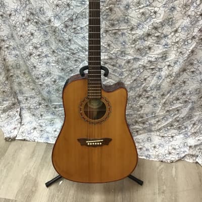 Washburn D42sce for sale