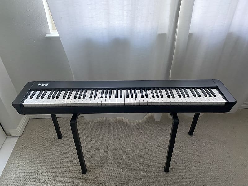 Technics SX-P30 Digital Piano and Stand | Reverb