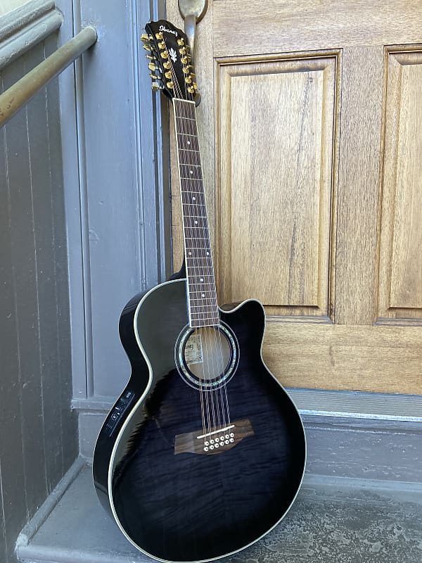 Ibanez ael 2012 store 12 string guitar