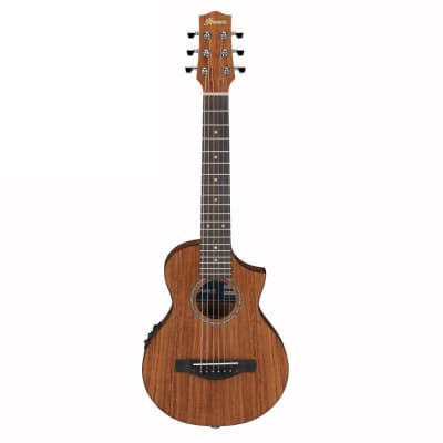 Ibanez EWP12EWB-OPN Acoustic Guitar w/Bag, Open Pore Natural for sale