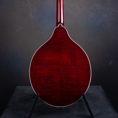 Bourgeois M5-O-BT Black Top Aged F-style Octave mandolin Brand New image 9