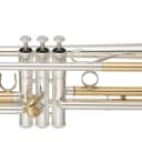 Yamaha YTR-5330MRC Mariachi B-Flat Trumpet