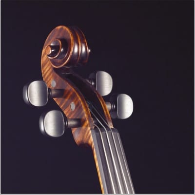 Stentor Arcadia Violin 4/4 Full Size image 3
