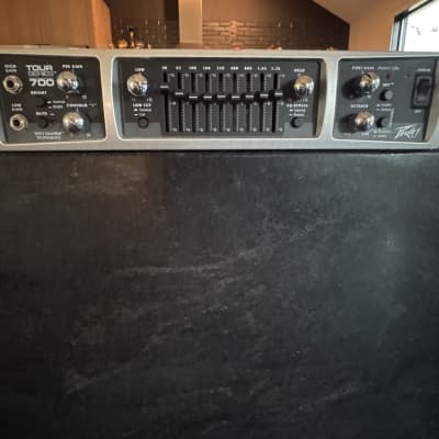 Peavey SessionBass Head 200w USA | Reverb