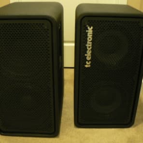 TC Electronic RH750 750-Watt Compact Bass Head Reviews