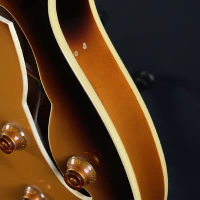 2003 Oscar Schmidt Delta King OE-30/TS Semi-Hollow Body Electric Guitar image 9