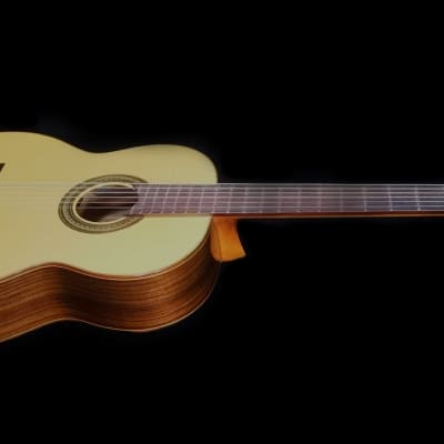 Chamber Concert Classical Guitar - Spruce & Rosewood image 3