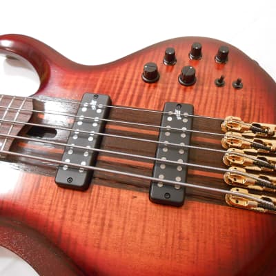 Ibanez BTB1905E Premium 5-String Electric Bass Guitar,  Aguilar Super Doubles image 8