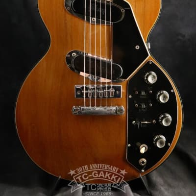 Gibson 1972 Les Paul Recording for sale