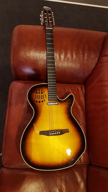 Godin multiac spectrum steel sa 2025