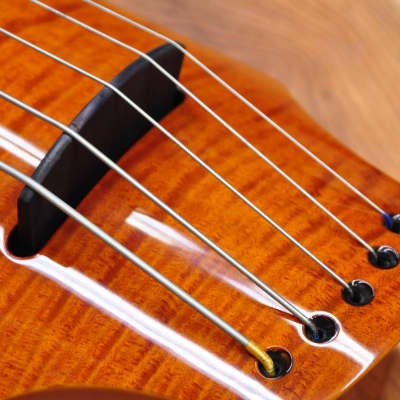 NS Design WAV5c Cello Amberburst Gloss image 5
