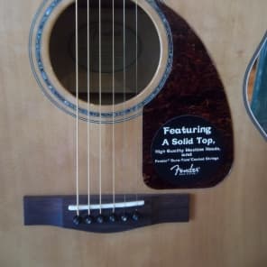Fender CJ-290S CJ-290-s-NAT Jumbo Acoustic Guitar in Natural 
