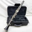 Buffet Buffet Crampon R13 Professional Wood Clarinet, Great Player, + New Case!