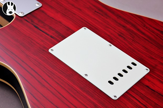 Stratocaster type [Electric guitar › Stratocaster type