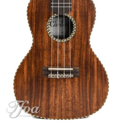 Mims Ukes: KoAloha Opio Concert All Solid Acacia KCO-10 Light