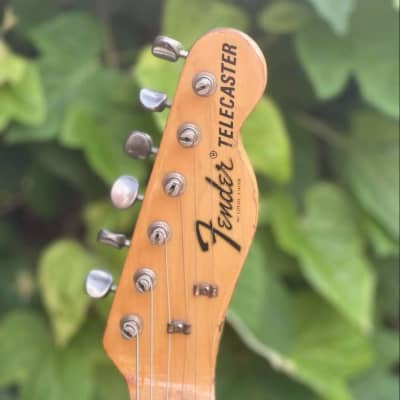 Mike Bloomfield's 1968/69 Fender Telecaster Thinline with Docs image 16