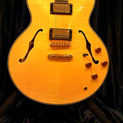 KARERA 335-Style Semi-Hollow Body Electric Guitar *BEAUTIFUL with WARM-TONE & *FREE Hard-Shell Case!!! image 8