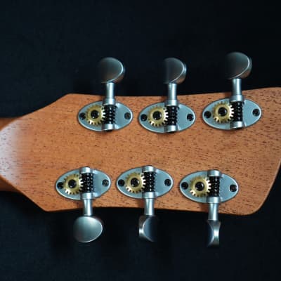 Tao Guitars Disco Volante in Sage Green image 7