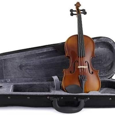 Stagg Model VN-1/4 - 1/4 Size Solid Maple Violin with case, bow and accessories image 7