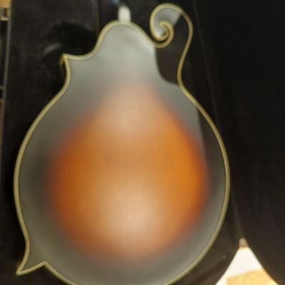 Gold Tone F-6 Manditar 2010s - Tobacco Sunburst image 8