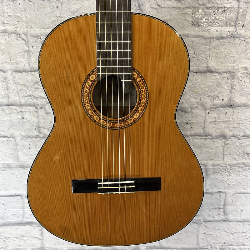 Washburn C30 Classical Acoustic Guitar Reverb