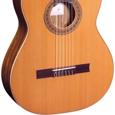 Ortega R220 Gloss Classical Acoustic Guitar (with Gig Bag) image 2