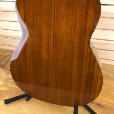 Garcia Classical Guitar with Hardshell Case (1973) image 10