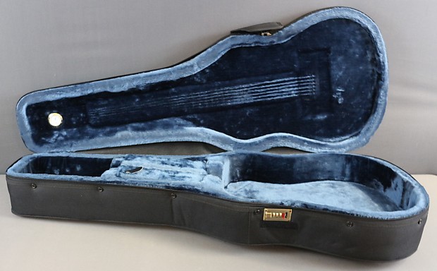Epiphone Masterbilt Hard Foam Carry Case for | Reverb