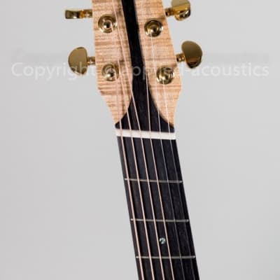 Rozawood Rhapsody custom DG (Drop-D guitar) image 3