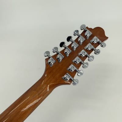 Samick Greg Benett Design 12 String Acoustic Guitar Model D-2-12 image 12