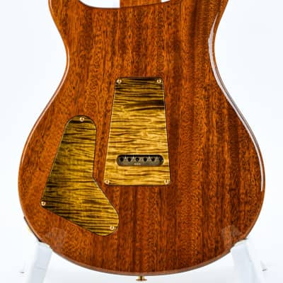 PRS Private Stock Special 22 Semi Hollow Tiger Eye Glow image 8