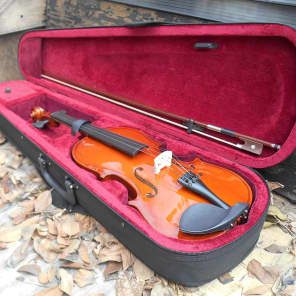 Bridgecraft violin 2024