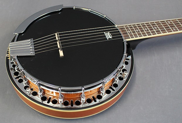 Epiphone Stagebird 6 String Electric Banjo