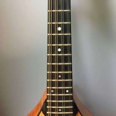 2018 Collings MT Amber gloss mandolin image 6
