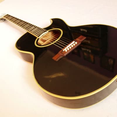 ギター Washburn EA22B PLATINUM EDITION ギター Washburn EA22B PLATINUM EDITION Washburn Guitars